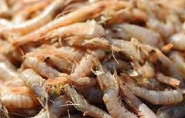 �����ֽ������~�r�B(y��ng)ֳ����(y��ng)ԓ��ô�k��